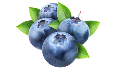蓝莓精致PNG图片