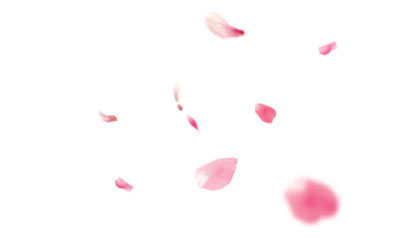 花瓣漂浮粉色PNG装饰