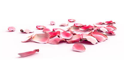 Pile of peach blossom petals PNG material