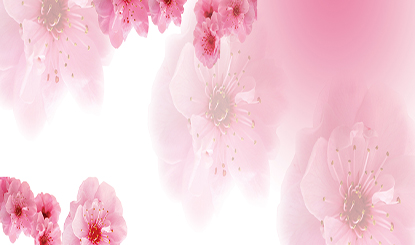 粉色花朵母亲节banner背景