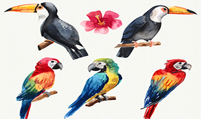 Watercolor painted birds design vector material
