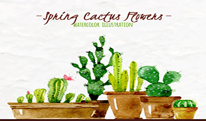 Watercolor painted spring succulents potted vector illustration