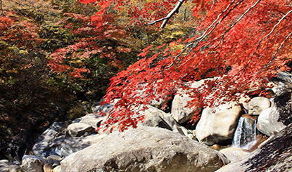 红枫山涧高清图片