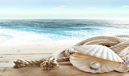 海边贝壳珍珠风景高清图片