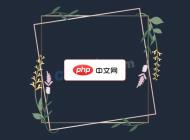简约植物花卉装饰边框矢量模板
