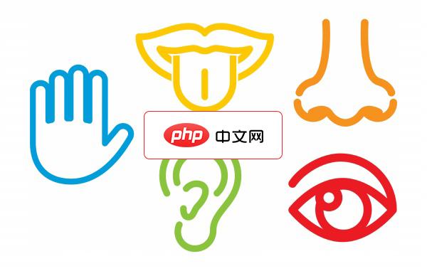 彩色线条人体五官元素矢量素材