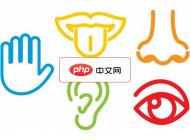 彩色线条人体五官元素矢量素材