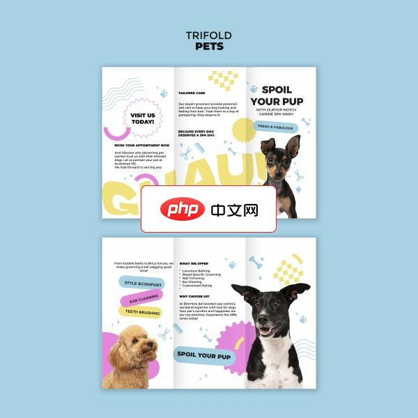 宠物店宣传三折页PSD模板设计下载