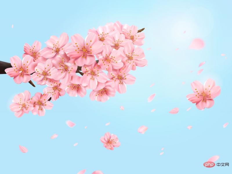 一簇美丽的樱花和樱花花瓣矢量素材(EPS)