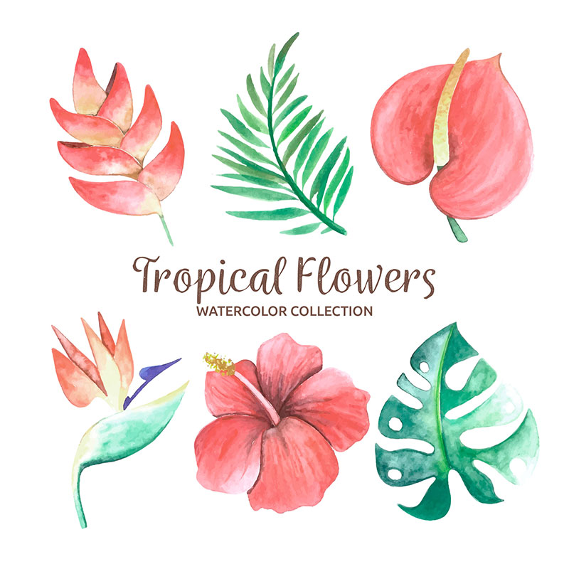 Watercolor tropical flowers vector material (EPS/AI)