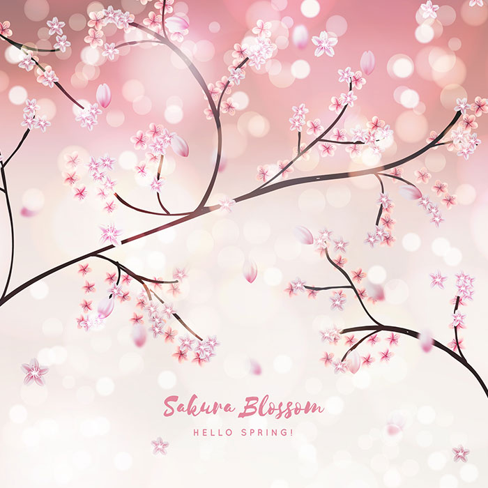 Romantic cherry blossom vector material (EPS)