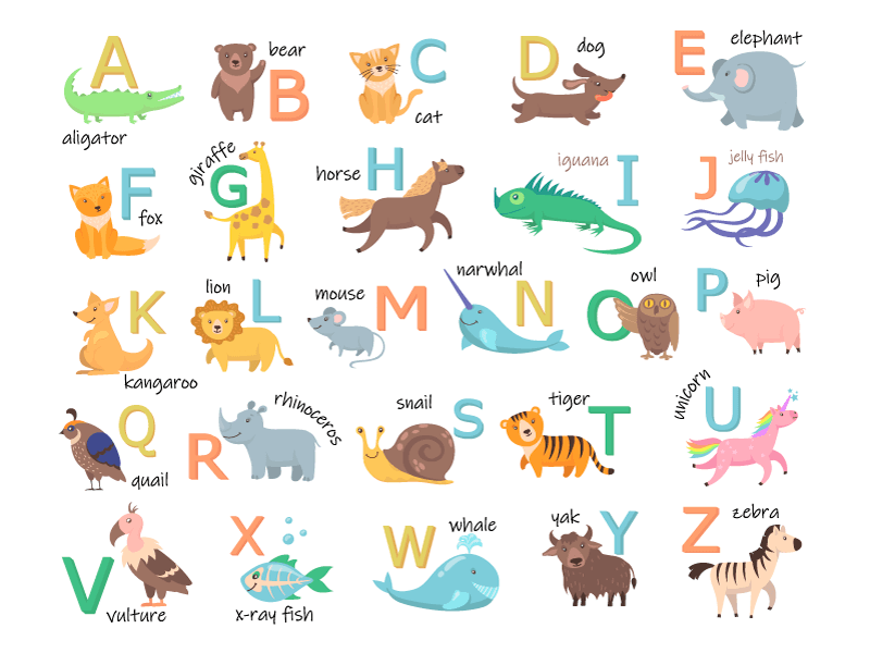 可爱的动物及其单词和开头字母矢量素材(EPS+PNG)