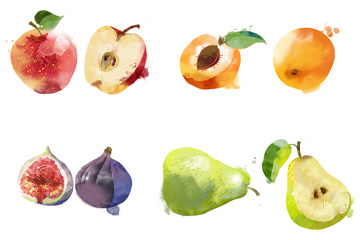 14种水彩水果PSD素材