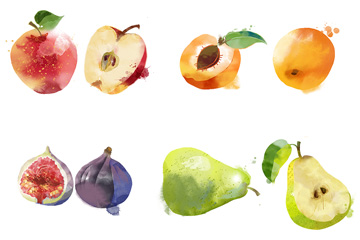 14 kinds of watercolor fruit PSD materials